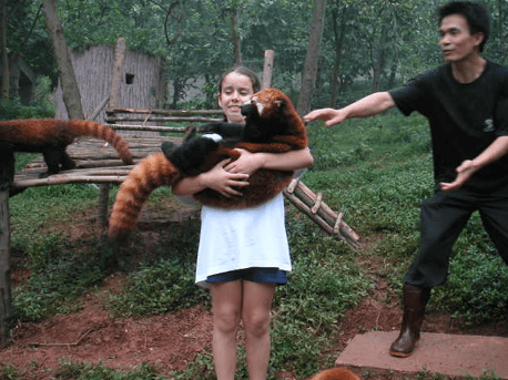 Screen Shot 2018-09-03 at 8.56.58 AM