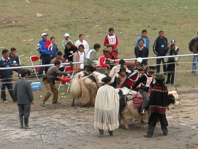 MINOLTA DIGITAL CAMERA